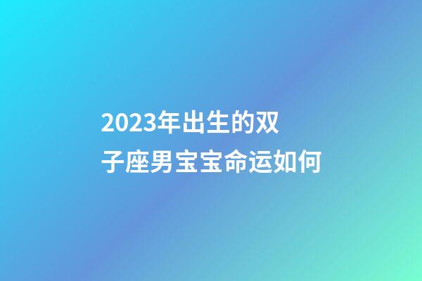 2023年出生的双子座男宝宝命运如何-第1张-星座运势-玄机派