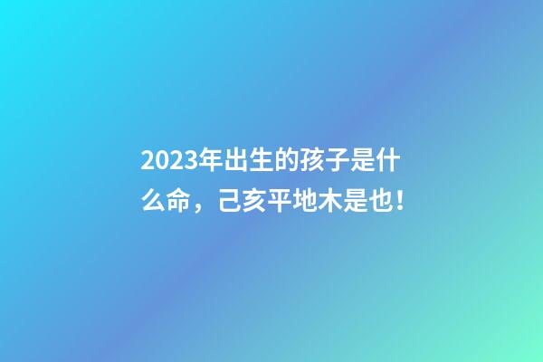 2023年出生的孩子是什么命，己亥平地木是也！