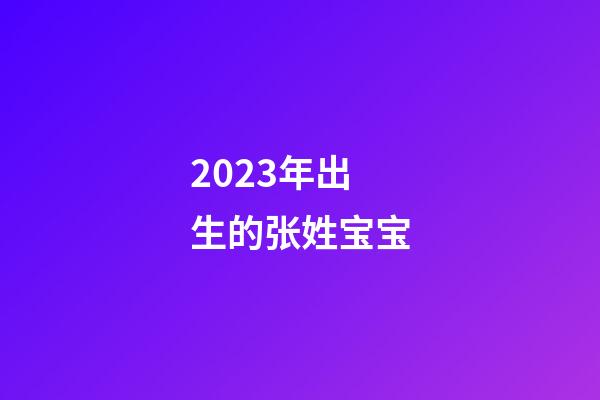 2023年出生的张姓宝宝