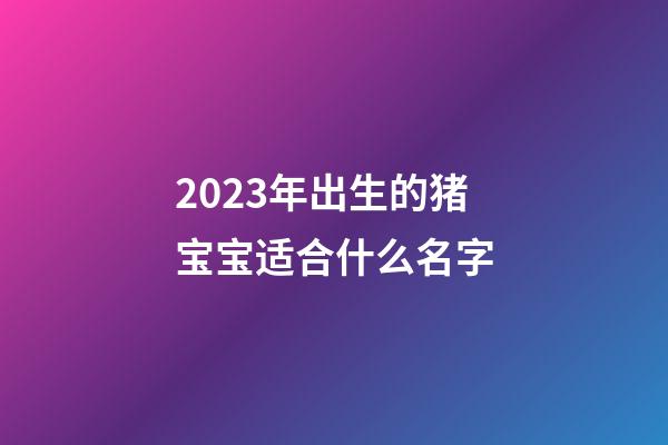 2023年出生的猪宝宝适合什么名字