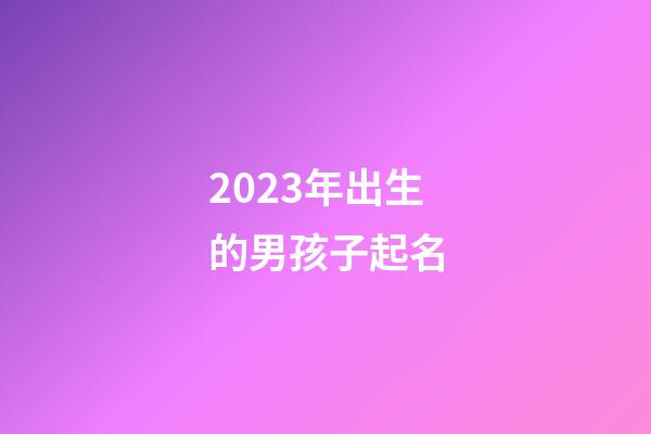 2023年出生的男孩子起名