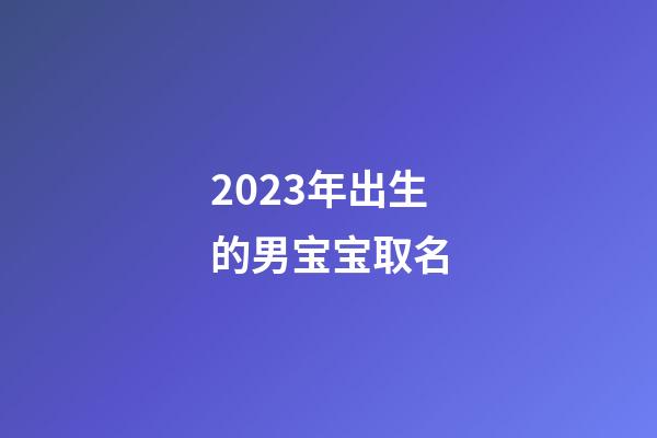 2023年出生的男宝宝取名