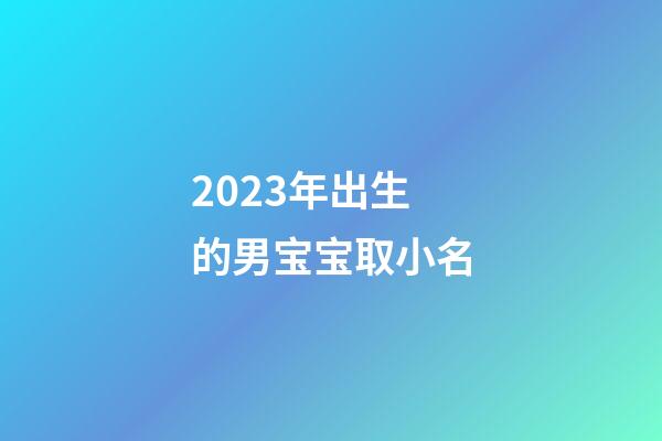 2023年出生的男宝宝取小名