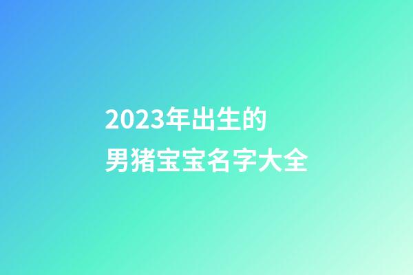 2023年出生的男猪宝宝名字大全