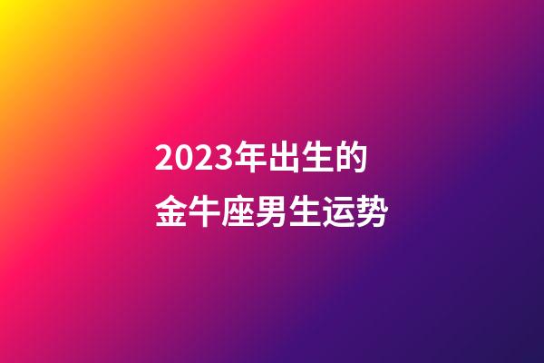 2023年出生的金牛座男生运势-第1张-星座运势-玄机派