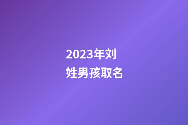2023年刘姓男孩取名