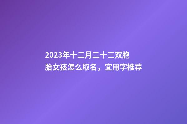 2023年十二月二十三双胞胎女孩怎么取名，宜用字推荐