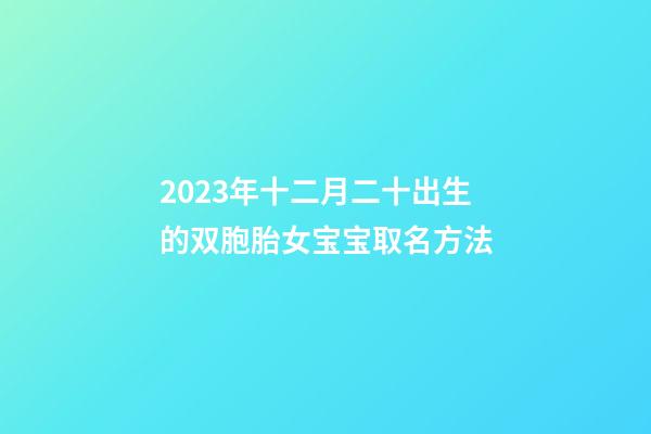 2023年十二月二十出生的双胞胎女宝宝取名方法
