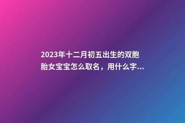 2023年十二月初五出生的双胞胎女宝宝怎么取名，用什么字好
