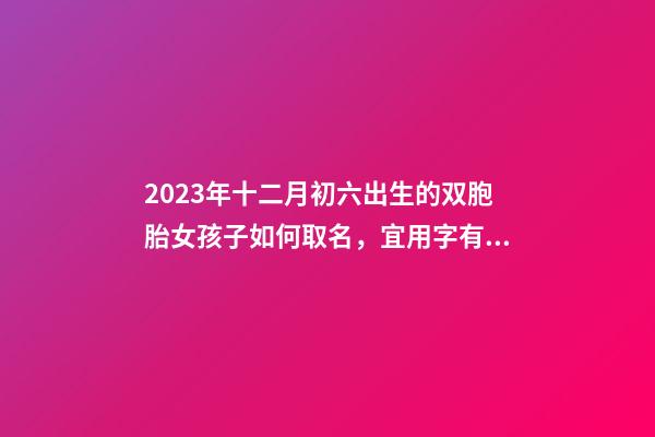2023年十二月初六出生的双胞胎女孩子如何取名，宜用字有哪些