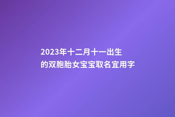 2023年十二月十一出生的双胞胎女宝宝取名宜用字