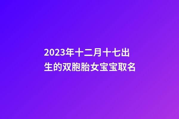 2023年十二月十七出生的双胞胎女宝宝取名