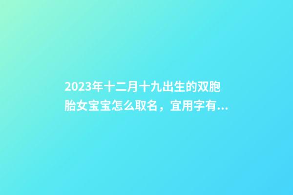 2023年十二月十九出生的双胞胎女宝宝怎么取名，宜用字有哪些