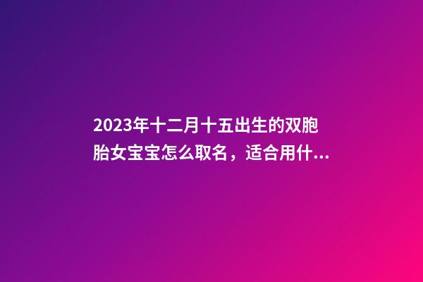 2023年十二月十五出生的双胞胎女宝宝怎么取名，适合用什么字取名
