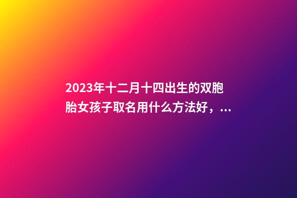 2023年十二月十四出生的双胞胎女孩子取名用什么方法好，有哪些宜用字