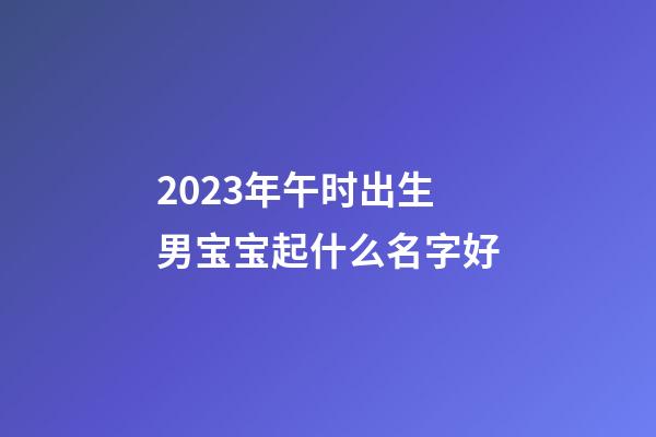 2023年午时出生男宝宝起什么名字好