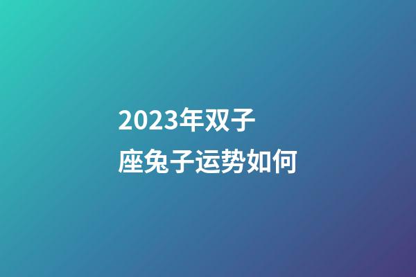 2023年双子座兔子运势如何-第1张-星座运势-玄机派