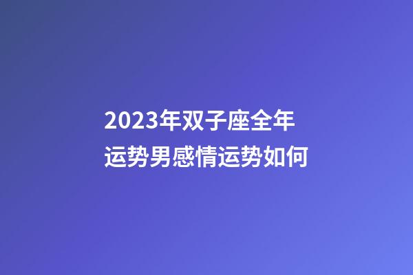 2023年双子座全年运势男感情运势如何-第1张-星座运势-玄机派