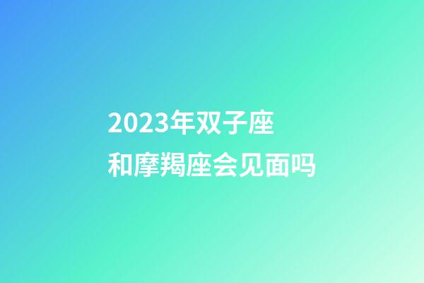 2023年双子座和摩羯座会见面吗-第1张-星座运势-玄机派