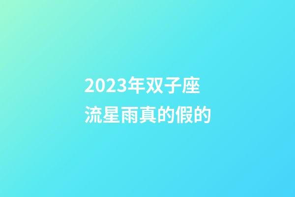 2023年双子座流星雨真的假的-第1张-星座运势-玄机派