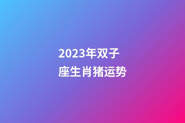 2023年双子座生肖猪运势-第1张-星座运势-玄机派