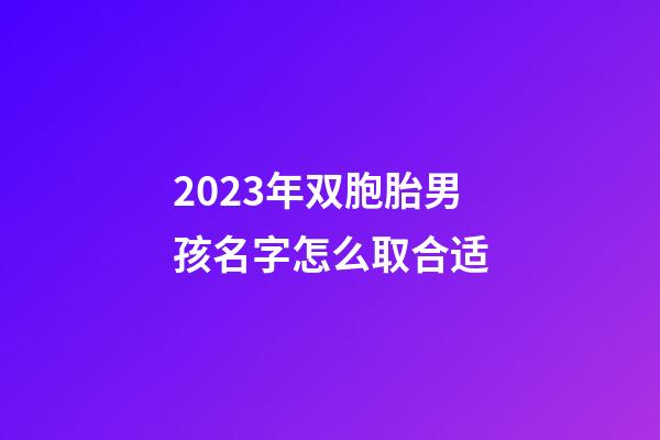 2023年双胞胎男孩名字怎么取合适