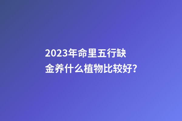 2023年命里五行缺金养什么植物比较好？