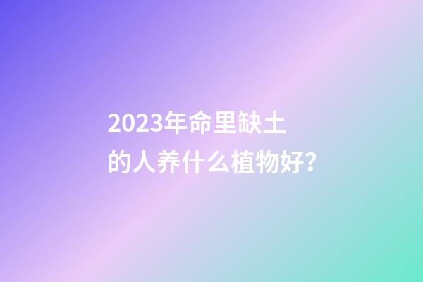 2023年命里缺土的人养什么植物好？