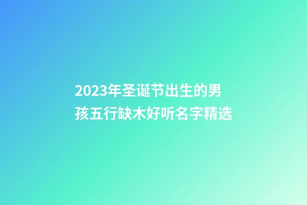 2023年圣诞节出生的男孩五行缺木好听名字精选