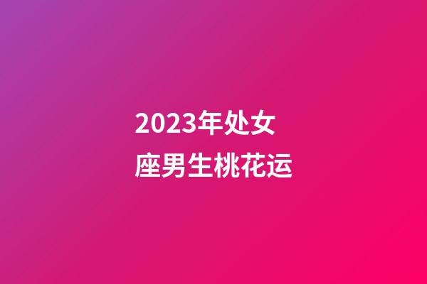 2023年处女座男生桃花运-第1张-星座运势-玄机派