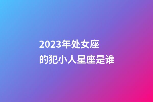 2023年处女座的犯小人星座是谁-第1张-星座运势-玄机派