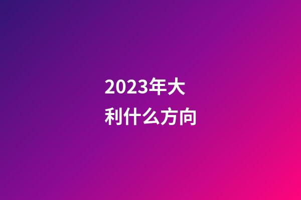 2023年大利什么方向
