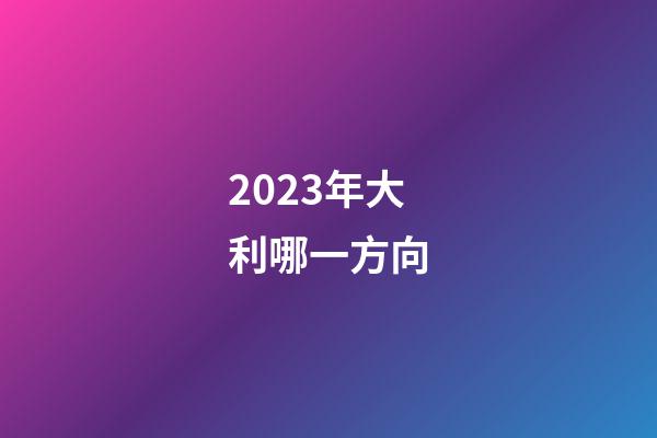 2023年大利哪一方向