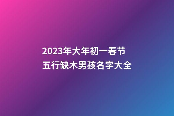 2023年大年初一春节五行缺木男孩名字大全