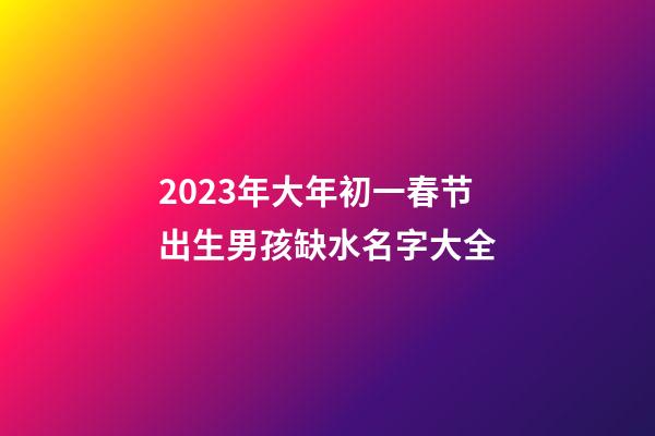 2023年大年初一春节出生男孩缺水名字大全