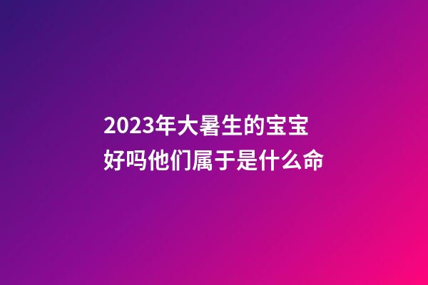 2023年大暑生的宝宝好吗?他们属于是什么命?