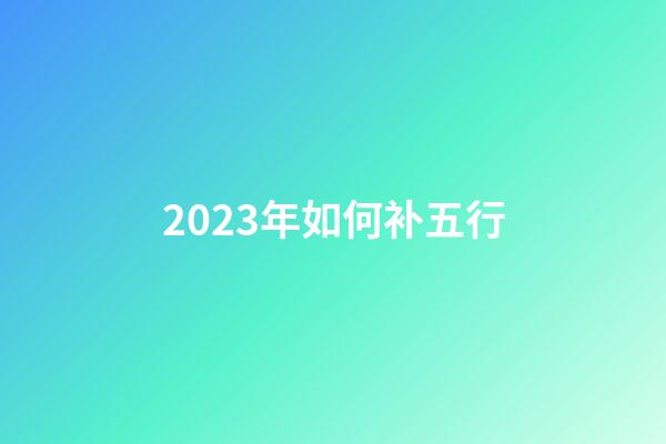 2023年如何补五行