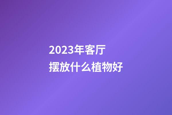 2023年客厅摆放什么植物好