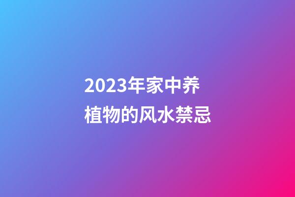 2023年家中养植物的风水禁忌