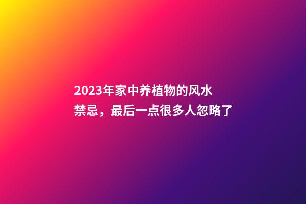 2023年家中养植物的风水禁忌，最后一点很多人忽略了