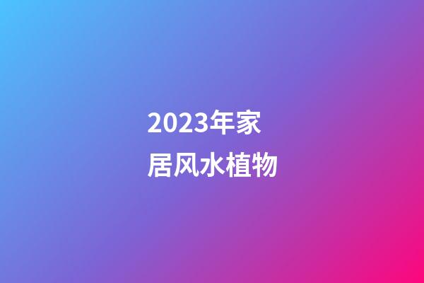2023年家居风水植物