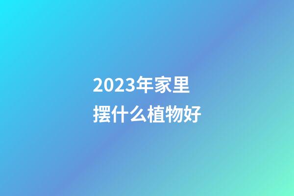 2023年家里摆什么植物好