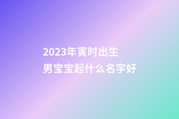 2023年寅时出生男宝宝起什么名字好