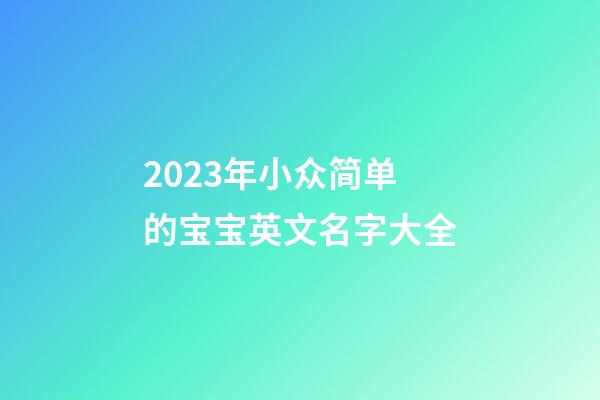 2023年小众简单的宝宝英文名字大全