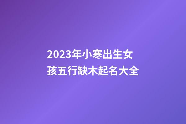 2023年小寒出生女孩五行缺木起名大全