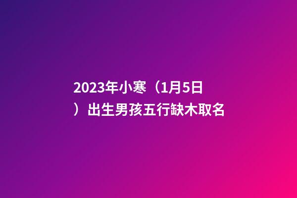 2023年小寒（1月5日）出生男孩五行缺木取名