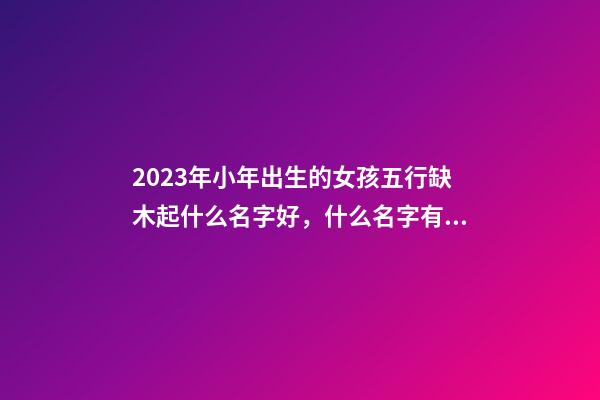 2023年小年出生的女孩五行缺木起什么名字好，什么名字有内涵？