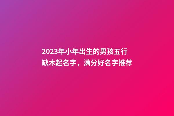2023年小年出生的男孩五行缺木起名字，满分好名字推荐