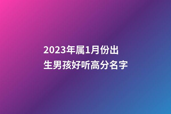2023年属1月份出生男孩好听高分名字