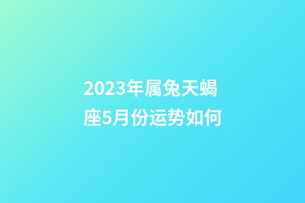 2023年属兔天蝎座5月份运势如何-第1张-星座运势-玄机派